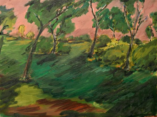 Kevin Perkins - Landscape painting - Landscape painting