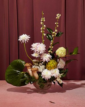 Jasmine Poole + Chris Sewell - Floral Study with Slugs