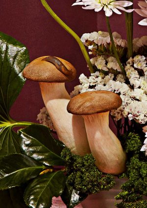 Jasmine Poole + Chris Sewell - Floral Study with Slugs