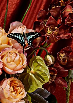 Jasmine Poole + Chris Sewell - Floral Study with Butterflies 1