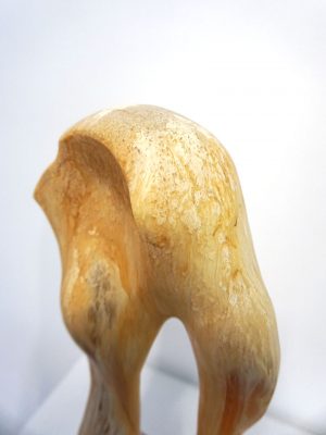 William Versace - Ancestor Amber - Resin Sculpture