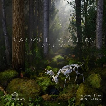 Acquiesce - Cardwell+McLachlan - photography exhibition