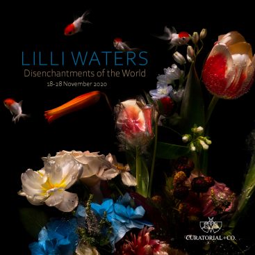 Lilli Waters - Disenchantments of the World - photography exhibition