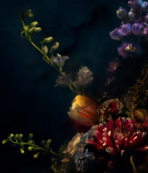 Lilli Waters - A Still Life of Disorder - Photography