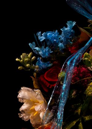 Lilli Waters - Plassiflora Edulis - Photography