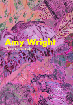 Amy Wright - This Is Not Solitude