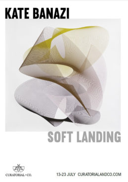 Soft Landing - Kate Banazi