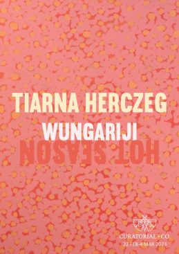 Tiarna Herczeg - Wungariji - art exhibition