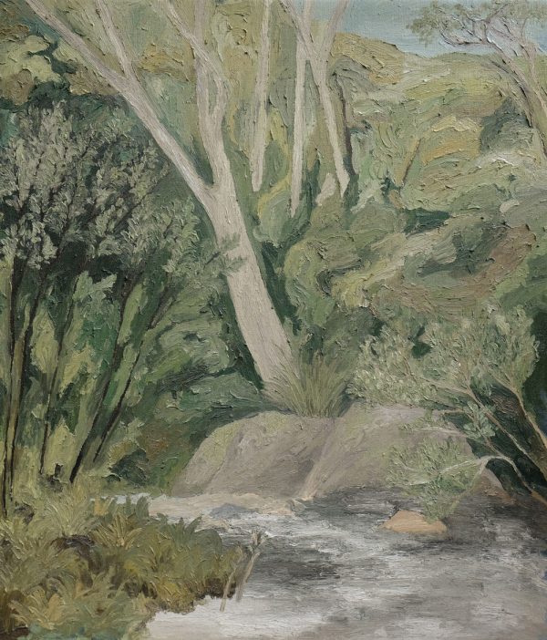 River Red Gum, She Oaks - Chloe Caday - Oil Painting