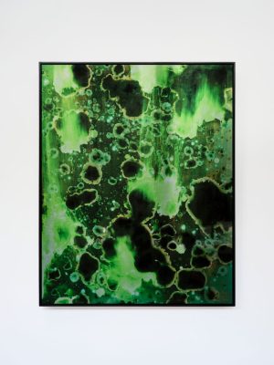 William Versace - Conversation With A Rockpool - dye sublimation print