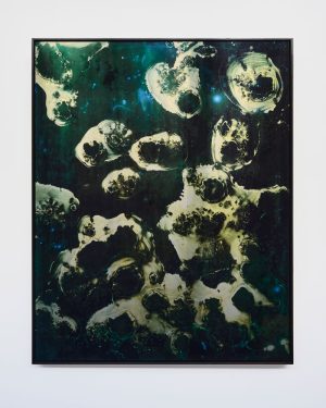 William Versace - Bluebottles- dye sublimation print