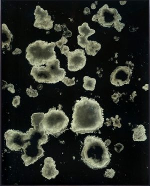 William Versace - Salt - Dye Sublimation Print
