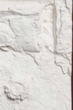 William Versace - The Stern - Plaster Wall Sculpture