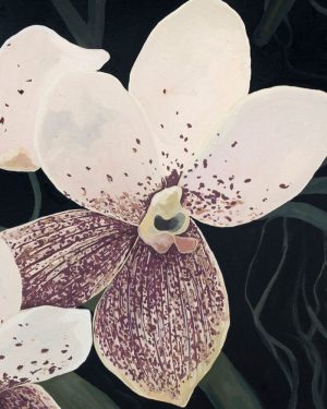 Chloe Caday - Australian Filipino Artist - Gouache on piña silk painting, framed in Tasmanian oak - Flowers of the divine, Waling-waling