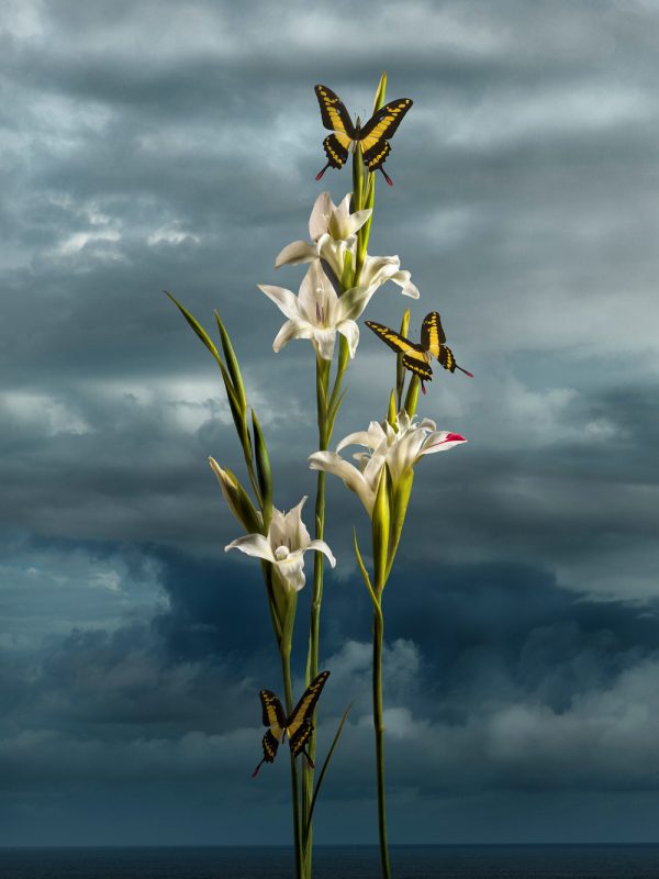 Simon Cardwell, The Mentor, Surrealist Photograph