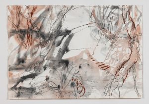 Melissa Boughey, Natural Habitat (Pinjar Series) IV, abstract work on paper