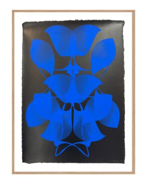 Kate Banazi, Exquisite Explicit - Split Slip, silkscreen print