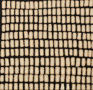 Bush tucker Dreaming, Dorothy Dixon