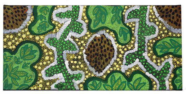 Bush Medicine, Janet Tilmouth