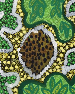 Janet Tilmouth, Bush Medicine