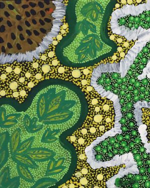 Janet Tilmouth, Bush Medicine