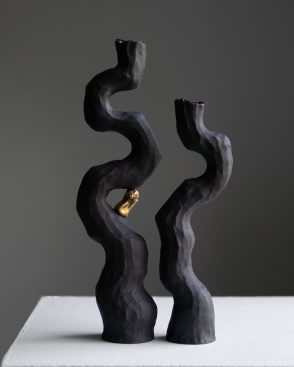 In Pursuit of The Sun, Kerryn Levy